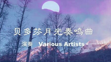 [图]音乐欣赏《贝多芬月光奏鸣曲》,演奏Various Artists