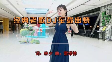 [图]经典老歌DJ车载串烧《 半生雪》《踏山河(DJ Yaha版)》好听优美