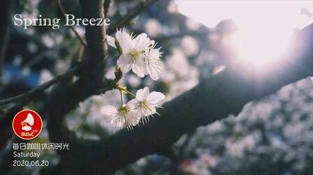 [图]每日咖啡休闲时光:轻音乐《Spring Breeze》(望春风)