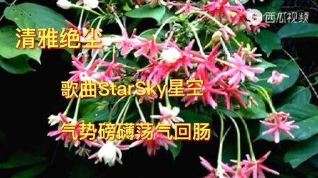 [图]气势磅礴荡气回肠的给人带来激情和力量的歌曲(StarSky星空)