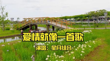 [图]星月组合演唱《爱情就像一首歌》歌声情意绵绵,听一次醉一次