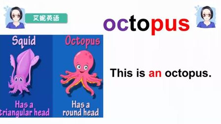 [图]英语单词讲解:octopus讲解