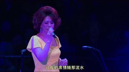 [图]蔡琴《 绿岛小夜曲 》不了情2007经典歌曲香港演唱会