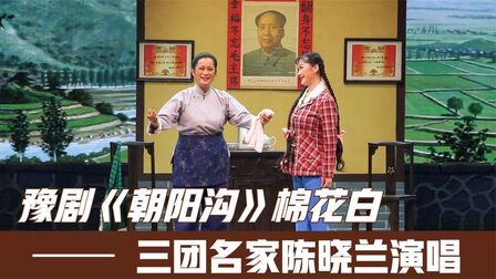 [图]豫剧《朝阳沟》银环儿你莫要多操心选段,三团名家陈晓兰演唱