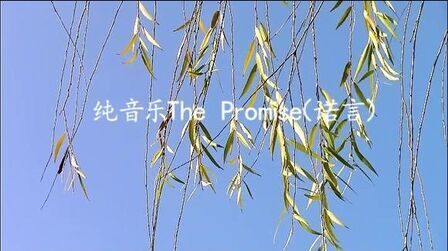 [图]纯音乐The Promise(诺言)