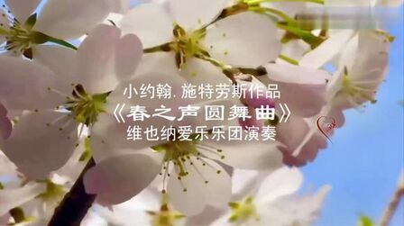 [图]优美的休闲轻音乐《春之声圆舞曲》动人弦律,美好享受!