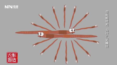 [图]神奇!蚯蚓有惊人的繁殖能力,原因竟然是这样的!长知识!