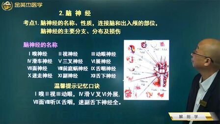 [图]解剖学9神经系统2周围神经系统3神经2脑神经01十二对脑神经的名称