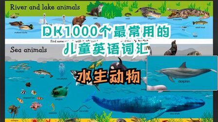 [图]【孟颖Liz】DK1000个最常用的儿童英语词汇-河湖动物和海洋动物下