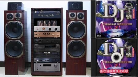 [图]DJ王志混音HIFI级精品《可选曲中文串烧》