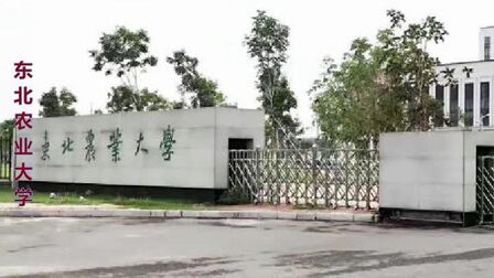 [图]东北农业大学211工程