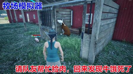 [图]牧场模拟器Ranch Simulator:队友捡肉忘记加饲料,猪牛都饿死了