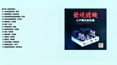 [图]群星 -《发烧胆机 · 人声测试鉴听碟》CD3(低音检测线)