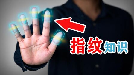 [图]从过去到未来,世界上不会有两个一模一样的指纹,这是为什么呢?