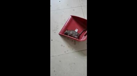 item.title