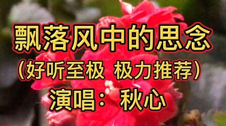 [图]《飘落风中的思念》漂泊的心如今早已疲倦,好想再回到有你的家园