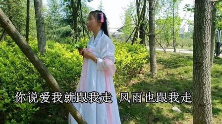 [图]好听的网络流行歌曲《你说爱我就跟我走》经典歌曲,唱得真是好听