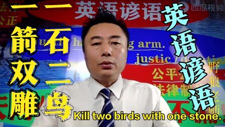 [图]一箭双雕-Kill two birds with one stone .英语谚语#野狼英语