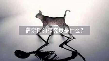 [图]“薛定谔的猫”是什么?它究竟蕴含着怎样的秘密?