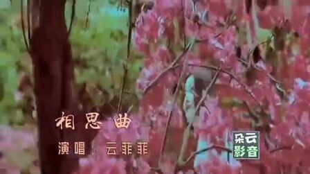 [图]云菲菲一曲《相思曲》唱出多少有情人的的心声