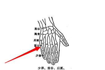 前谷穴属于手太阳小肠经,前谷穴位于人体的小指尺侧,第五掌指关节前方