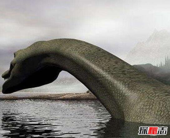 揭秘加拿大水怪奥古布古真相,实则一条巨大的海蛇