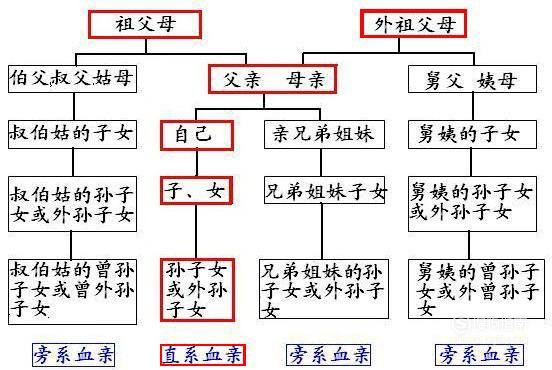 亲戚长辈称谓 曾祖姑丈(曾祖父的姐妹父—内曾侄孙,内曾侄孙女