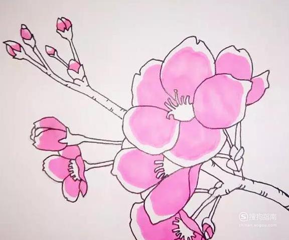 06 第六步给桃花上色,先上一层粉红色的花瓣和含苞待放的花骨朵儿.