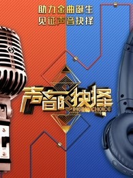 声音的抉择海报剧照