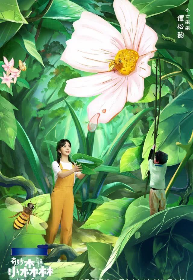 奇妙小森林(2022)综艺 - 更新至剧情介绍 - 南瓜剧情网