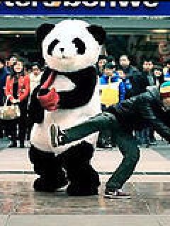 爱，在四川之熊猫篇微电影