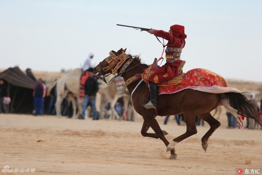 突尼斯国际撒哈拉节 赛马斗骆驼好不热闹(8) 第8页