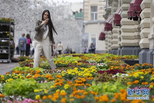 莫斯科古姆百货商场举办花卉节 第1页
