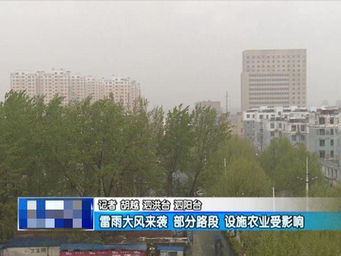 雷雨大风来袭 部分路段设施农业受影响(4) 第4页