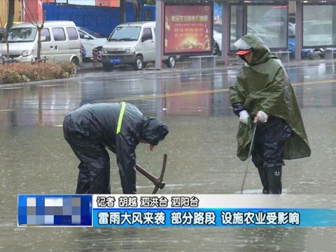 雷雨大风来袭 部分路段设施农业受影响 第1页