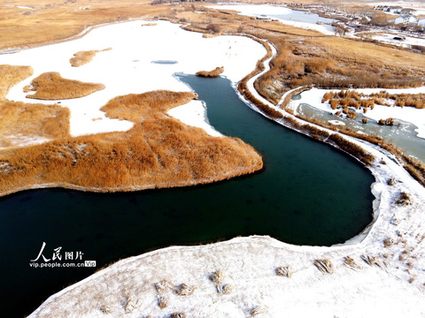 甘肃张掖:雪落湿地景色美 第1页