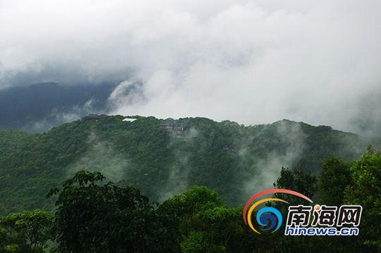 秋雨送爽 亚龙湾热带天堂景区现雨林雾景 第1页