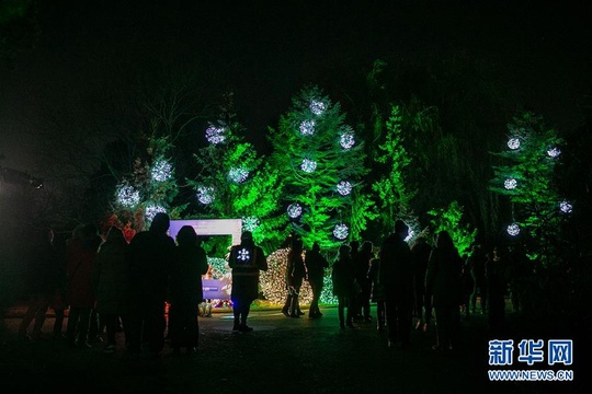 芝加哥举办节日灯光秀(6) 第6页