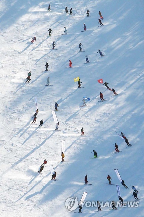 纵情驰骋! 韩国江原道多个滑雪场开门迎客【组图】(4) 第4页