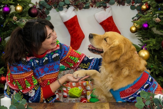 伦敦一餐厅推出狗狗圣诞大餐 宠物狗与主人一同欢庆圣诞节 第1页