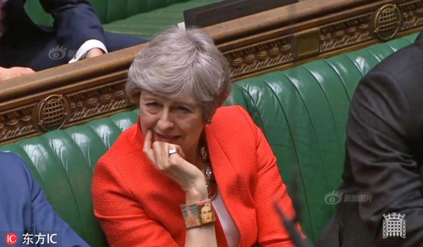 英国脱欧协议草案被下议院否决 首相特蕾莎-梅竟然睡着了(3) 第3页