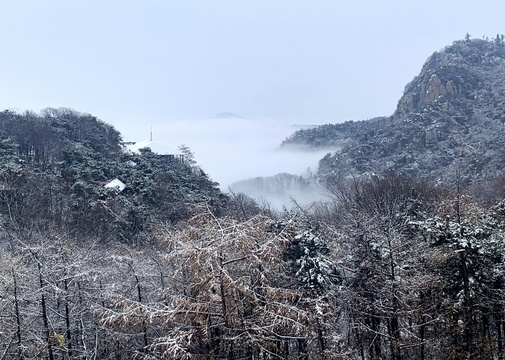 沂蒙山迎来今冬首雪 银装素裹 美不胜收(2) 第2页