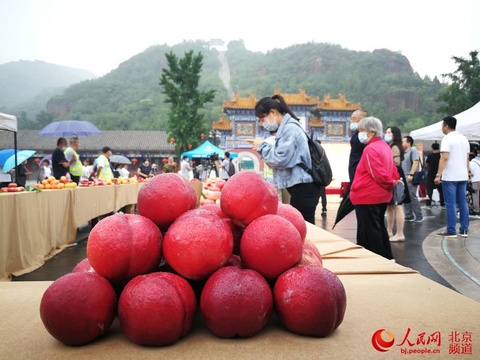 组图:丫髻山下举办“蟠桃会” 展现平谷鲜桃魅力(5) 第5页