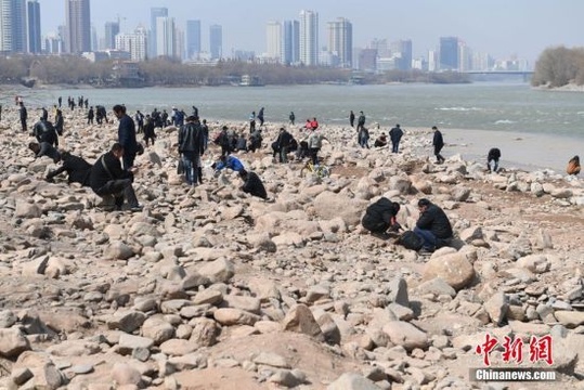 黄河河床裸露 民众扎堆蹲河滩找它 第1页