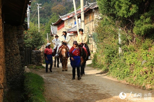 玉龙雪山下 这个穷山村在观光旅游中蝶变(2) 第2页