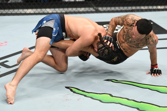 UFC231精彩集锦 霍洛威重创奥尔特加(12) 第12页