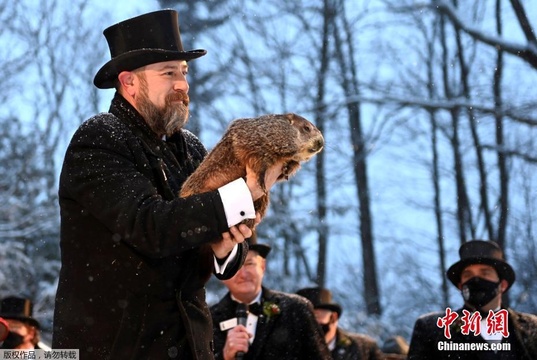 雪花飘飘中迎来“土拨鼠日” 最萌气象专家预测天气(4) 第4页