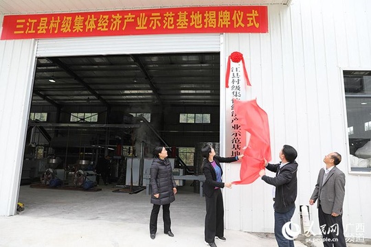 广西三江:村里办起加工厂 集体经济添动能 第1页