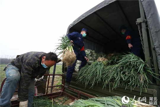 湖北襄阳:消防救援队伍服务防疫一线(6) 第6页