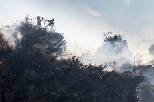 厄瓜多尔爆发山火 附近动物园烟雾弥漫 第1页